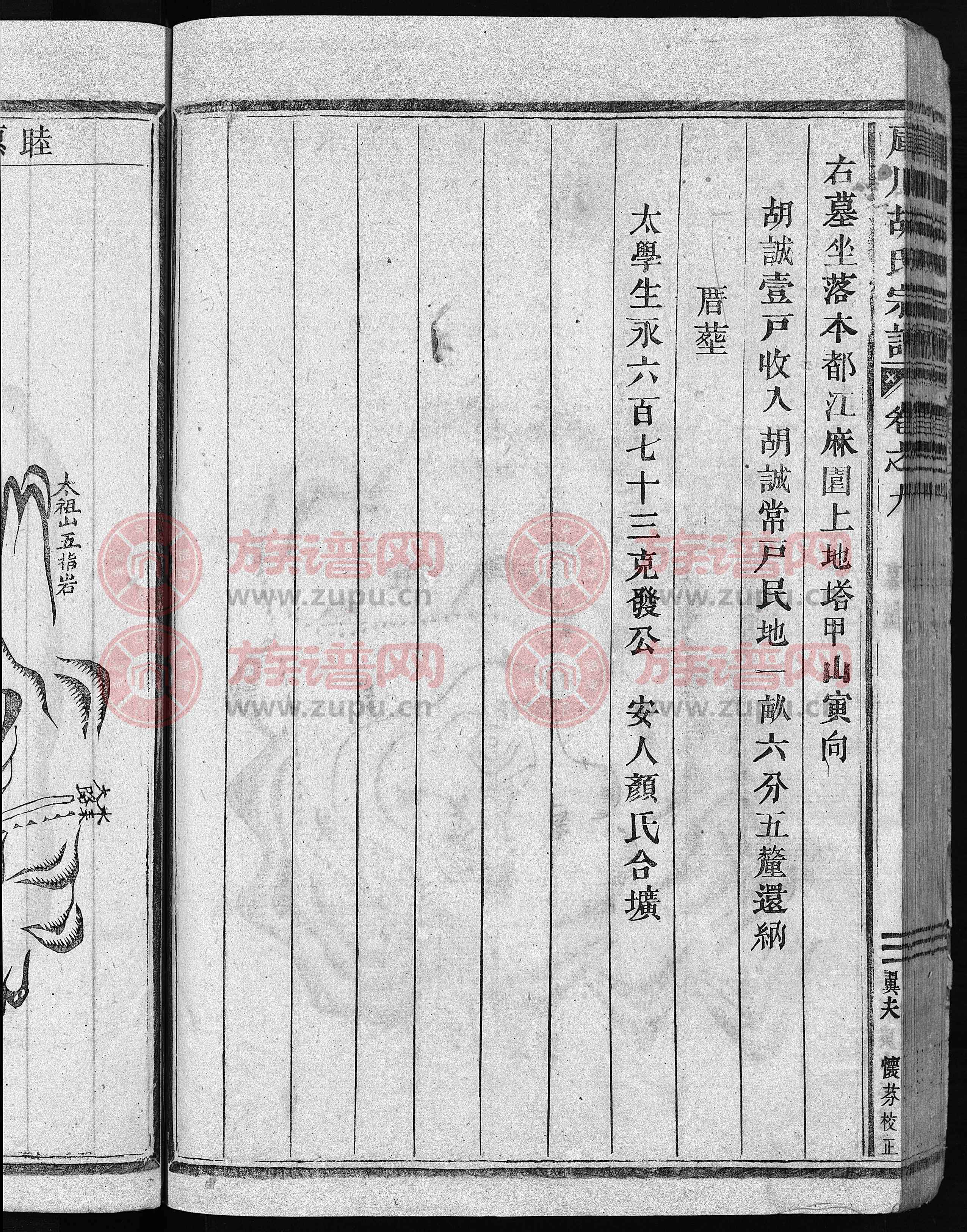 布最志无地门周，探索与洞察，布之最志探秘之门，探索与洞察