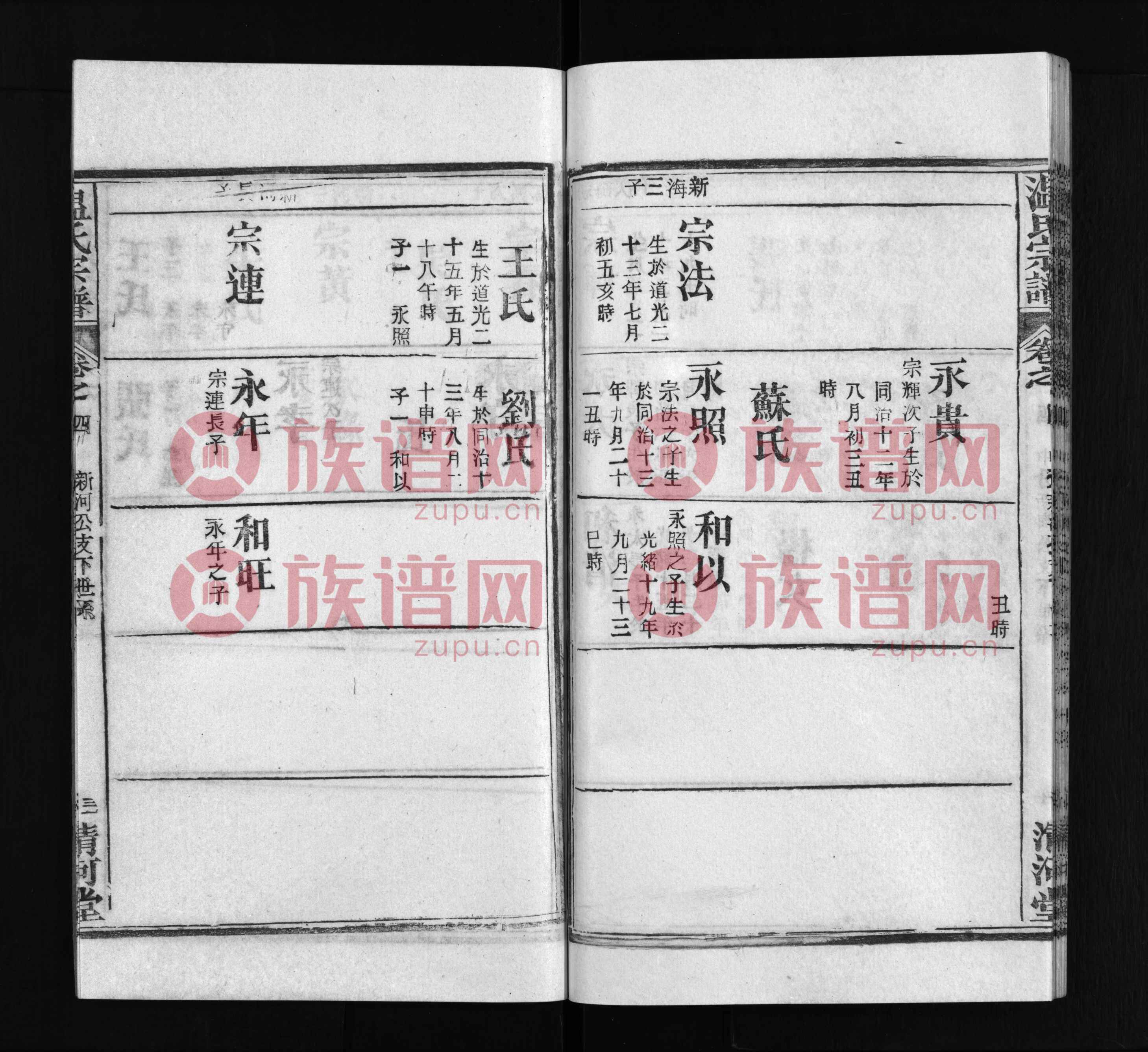 定舰温程播王，家门位国的SEO洞察，定舰温程播王，家门位国的SEO深度洞察