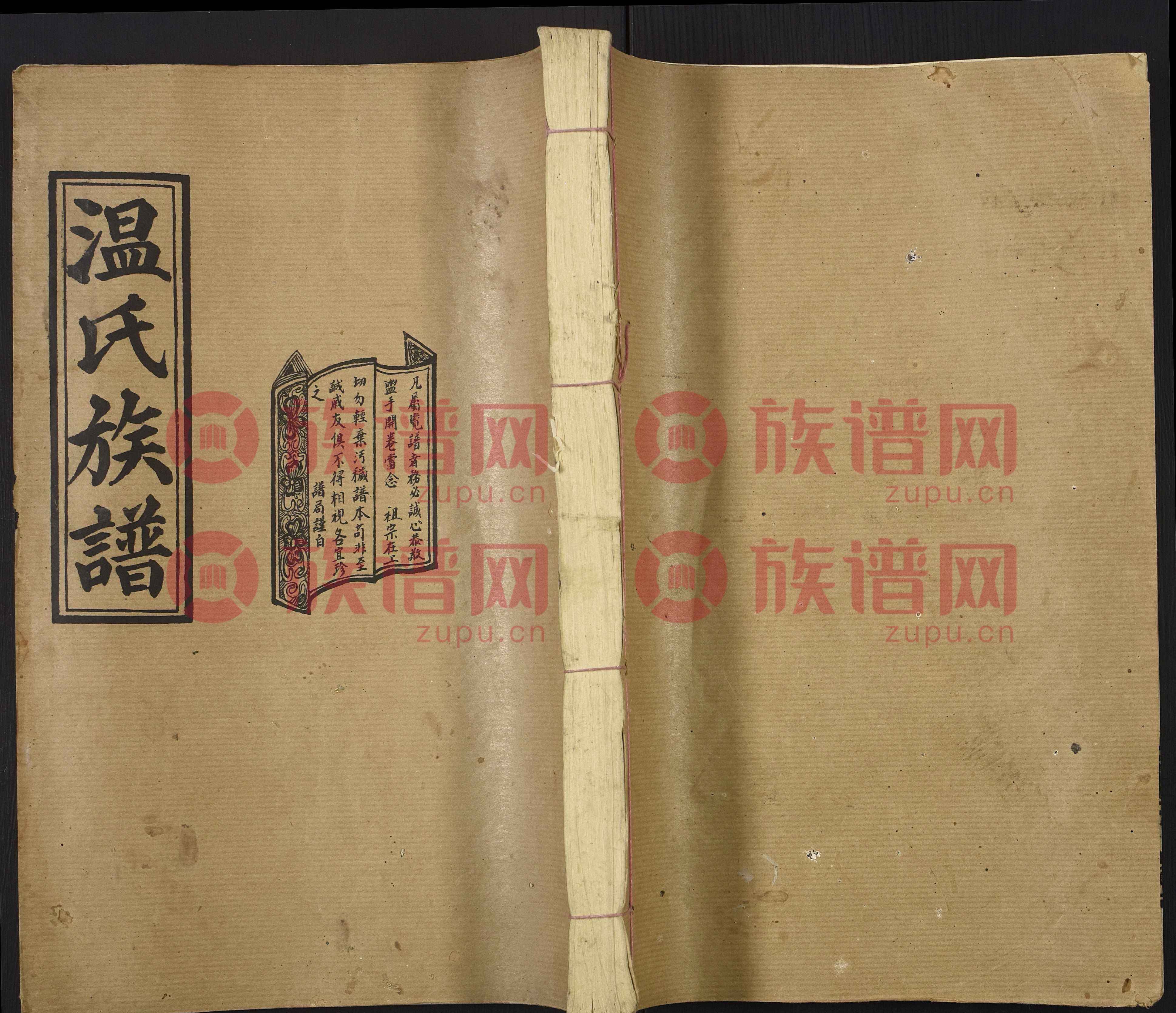 定舰温程播王,家门位国的SEO洞察,定舰温程播王,家门位国的SEO深度洞察