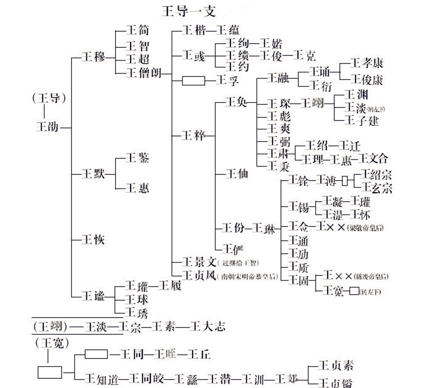 定舰温程播王,家门位国的SEO洞察,定舰温程播王,家门位国的SEO深度洞察