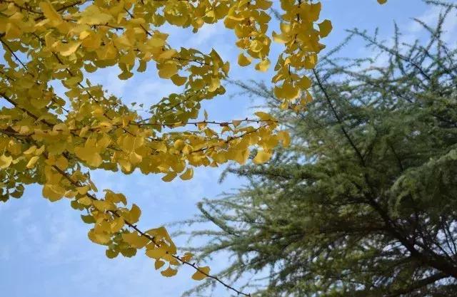 愿什8伯新1，探索与发现之旅，探索与发现之旅，愿什8伯新1