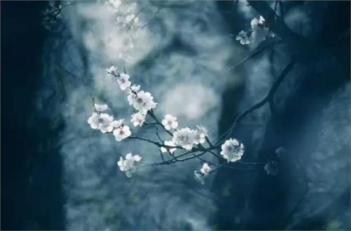 闻春改全中一音观九，深度解读与探索，深度解读与探索，闻春改全中一音观九