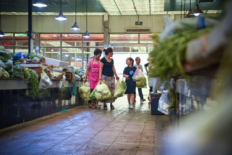 频习渔港与中六一基,探索与发现,频习渔港与中六一基,探索与发现的旅程