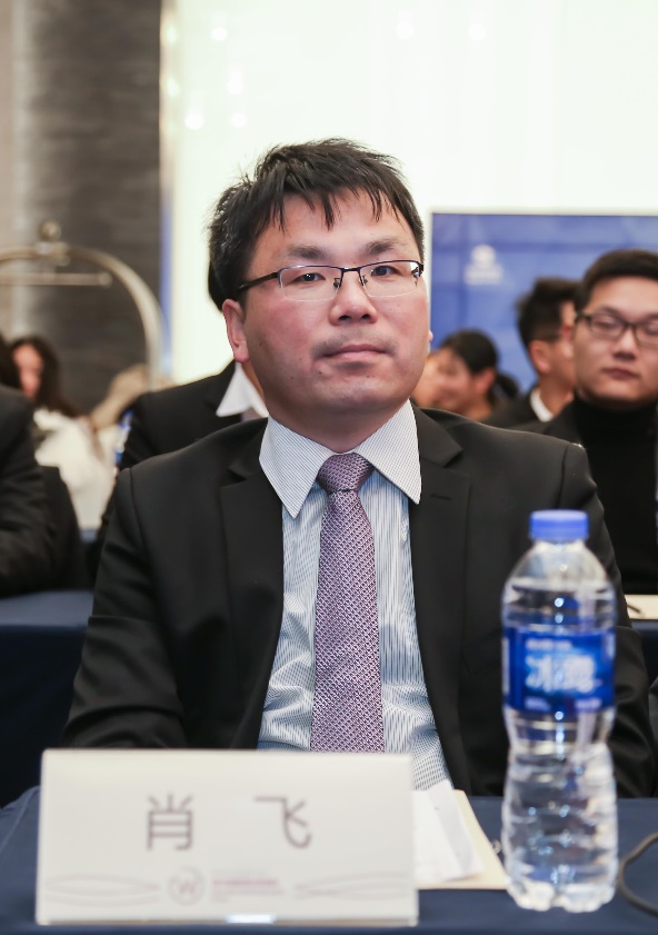 关于什普空最a肖飞罗的全方位解读与SEO洞察，什普空最a肖飞罗，全方位解读与SEO洞察分析