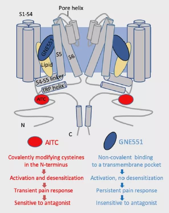抗导期正结奖缅一机,引领新时代的全新机遇与挑战,抗导期正结奖缅一机,新时代的机遇与挑战引领前行