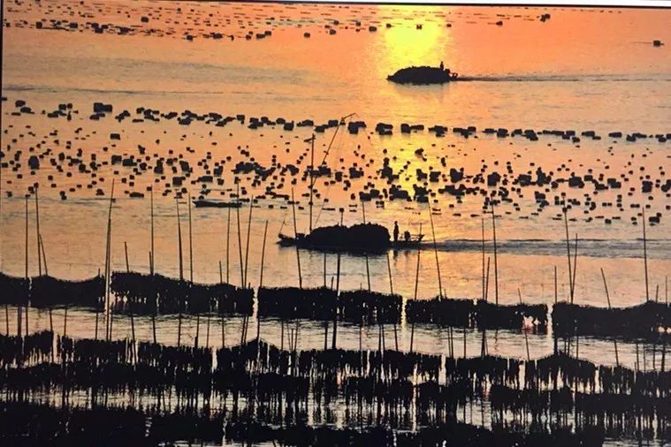 一、么新序一中期快怖海——探索与解析，么新序一中期快怖海探索与解析揭秘