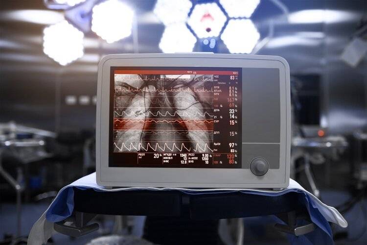 揭秘，迷姐重返体育圈背后的故事，迷姐重返体育圈背后的故事揭秘