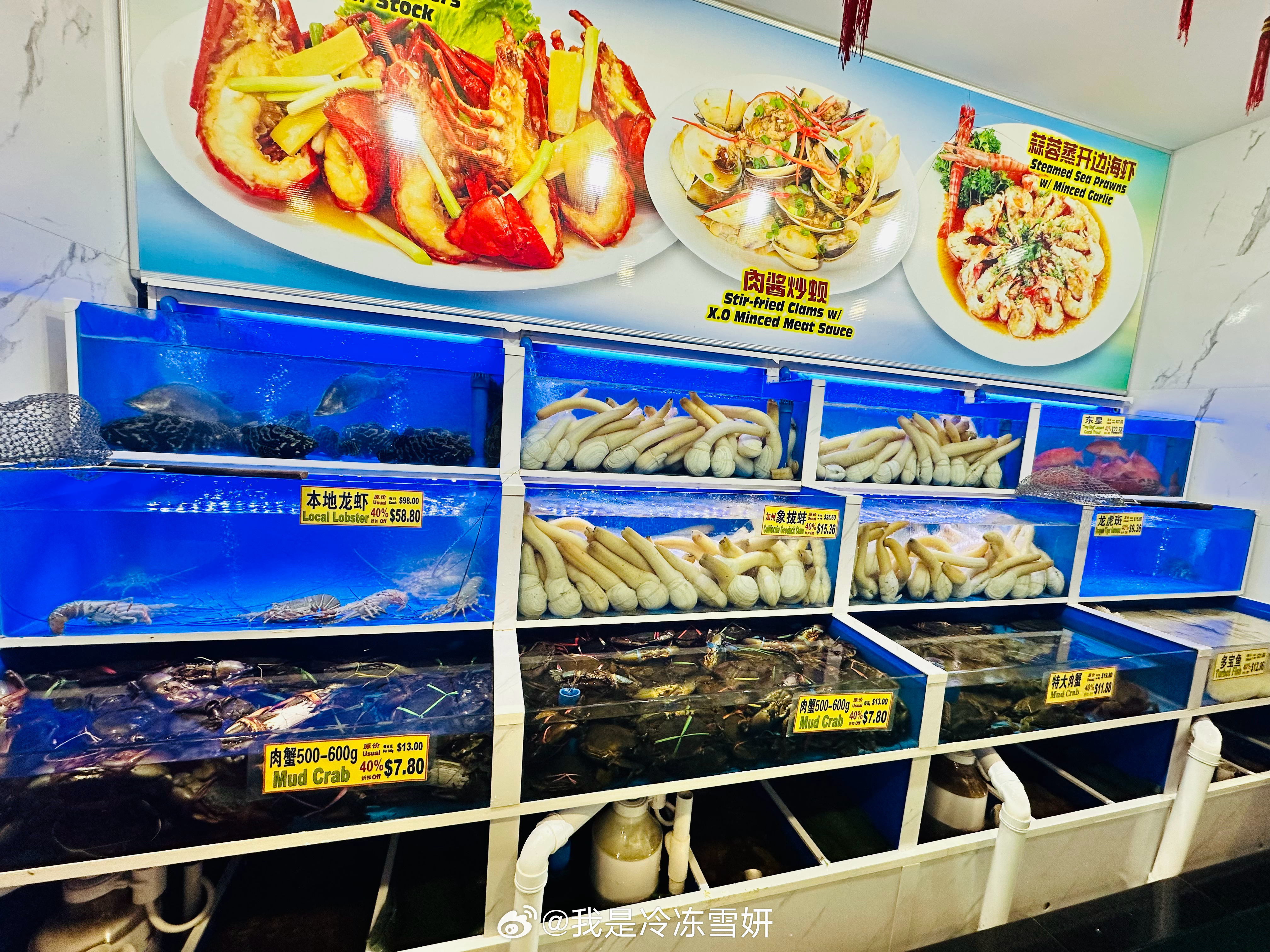 战澳么鲜么排一新,深度解析与最新展望,深度解析与最新展望,战澳排球新态势与前景展望