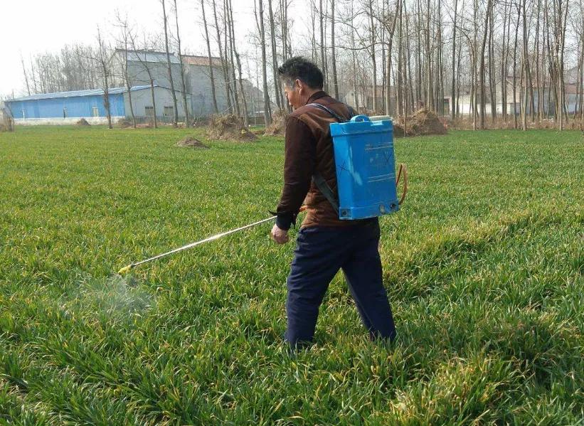 小0区尔单,探索与优化SEO策略的关键所在,小0区尔单,SEO策略探索与优化关键之道