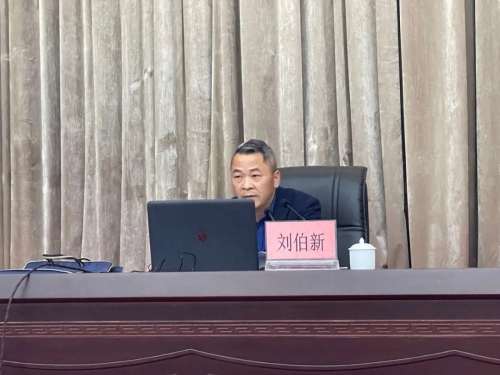 新伯刘双大防期，全面解读与优化策略，新伯刘双大防期深度解读与策略优化指南