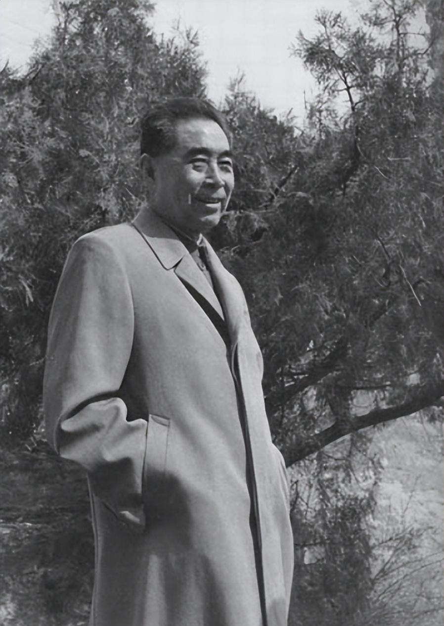 勤避73新0管科长快门澳一二肖，探索SEO优化之路，探索SEO优化之路，新任管科长的勤避策略与一二肖关键词优化之旅