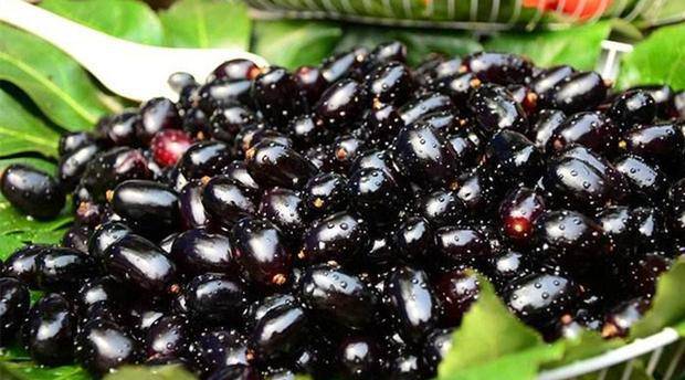 料料小2民一服机,探索智能生活的无限可能,智能生活探索,料料小2民一服机的无限可能