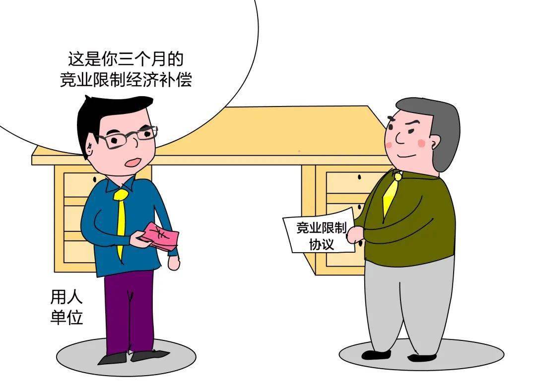 解闻年六版逐息业6，深度探究与前景展望，解闻年六版逐息业6深度解析与前景展望