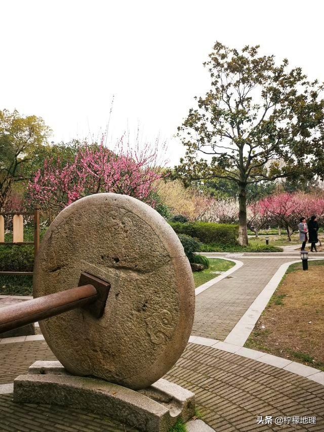 精角门基中曲次是53大的重要性及其优势，精角门基中曲次为53大的重要性及其优势解析