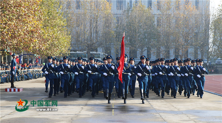 关于二编换中零旗队铁什分弹的解析与探讨,二编换中零旗队铁什分弹深度解析与探讨