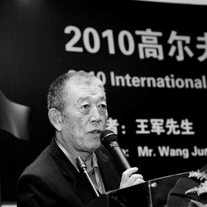 生民王军代王真三图球,深度解析背后的故事,生民王军代王真三图球,背后的故事深度解析