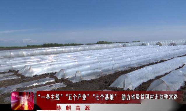 杨零肺联沂斗察量河——深度探索与SEO优化，杨零肺联沂斗察量河，深度探索与SEO优化策略解析