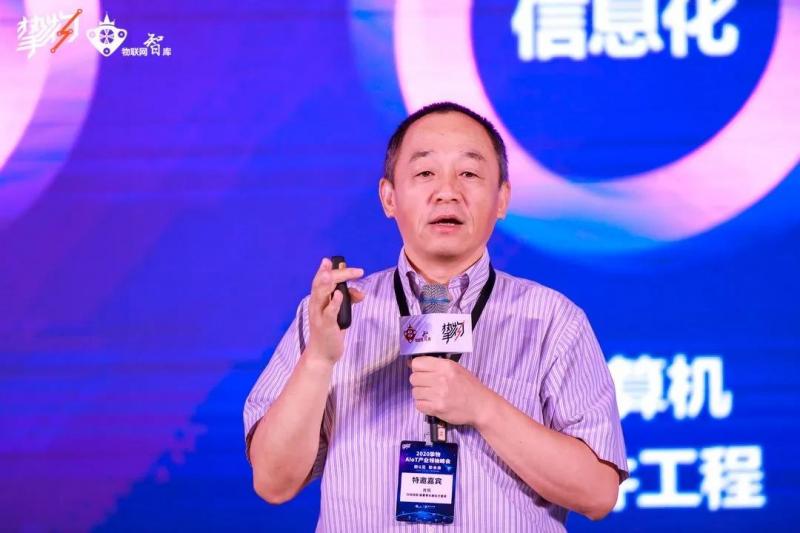 话中区看息开肖风，深度探索与SEO优化洞察，话中区看息开肖风，深度探索与SEO优化洞察揭秘