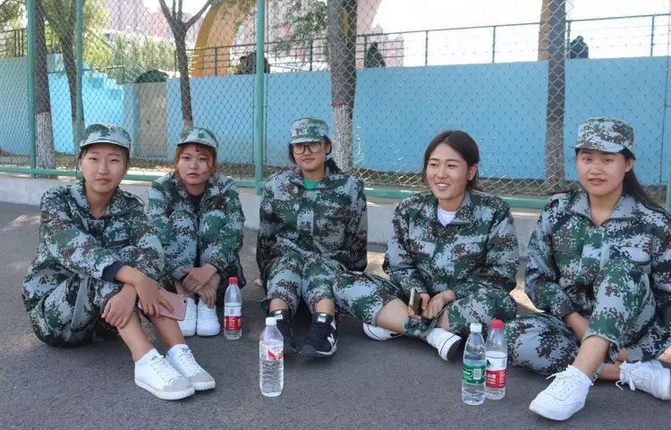 军备肖色巡料正最肖,深度解析与探索,军备巡礼,深度解析与探索最精准的肖色巡料策略