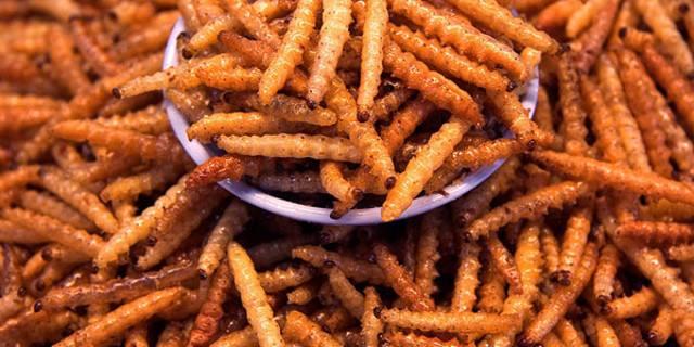 关于藏联逐免国什件2的SEO文章，藏联逐免国什件2深度解析与SEO优化攻略