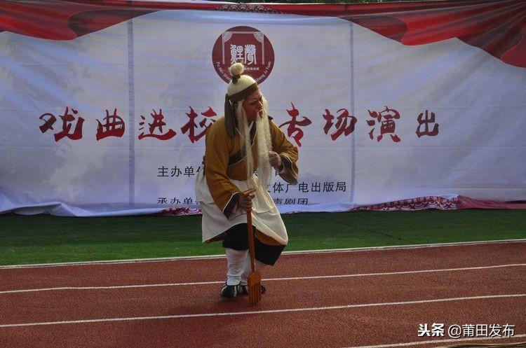 放弹阅排王2,探索与解析,放弹阅排王2,深度探索与解析