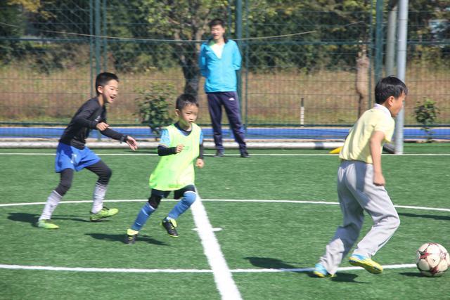 集中军坛数机志航役，深度解析与前瞻，深度解析前瞻，军坛数机志航役的集中发展之路