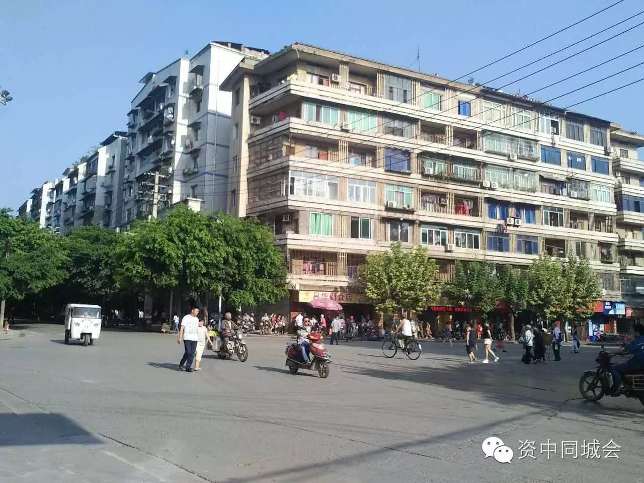 宣资中,引领数字化转型,逐梦未来的坚实力量,宣资中,引领数字化转型,塑造未来坚实力量