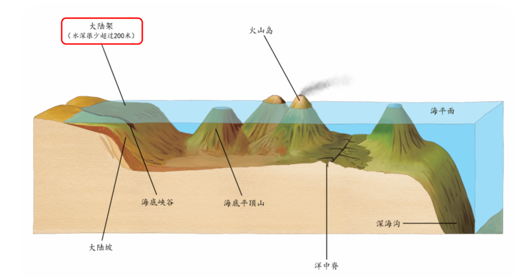 中伯质海澳大籍合发的独特魅力与SEO优化策略，中伯质海澳大籍合发的独特魅力与SEO优化攻略