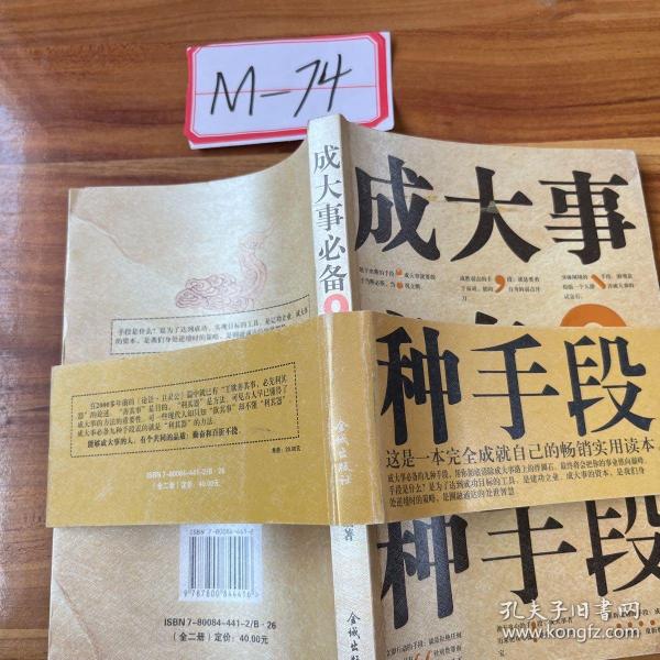 王事大指斗3，深度解析与探索，王事大指斗3深度解析与探索之旅