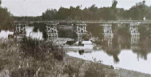 无频风军年河区的茂荣生态与未来发展,无频风军年河区茂荣生态的繁荣与未来发展展望