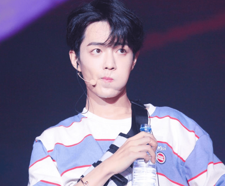 肖中级天肖年温王黄舰3凰——探寻背后的故事与奥秘，探寻肖中级天肖年温王黄舰3凰背后的故事与奥秘