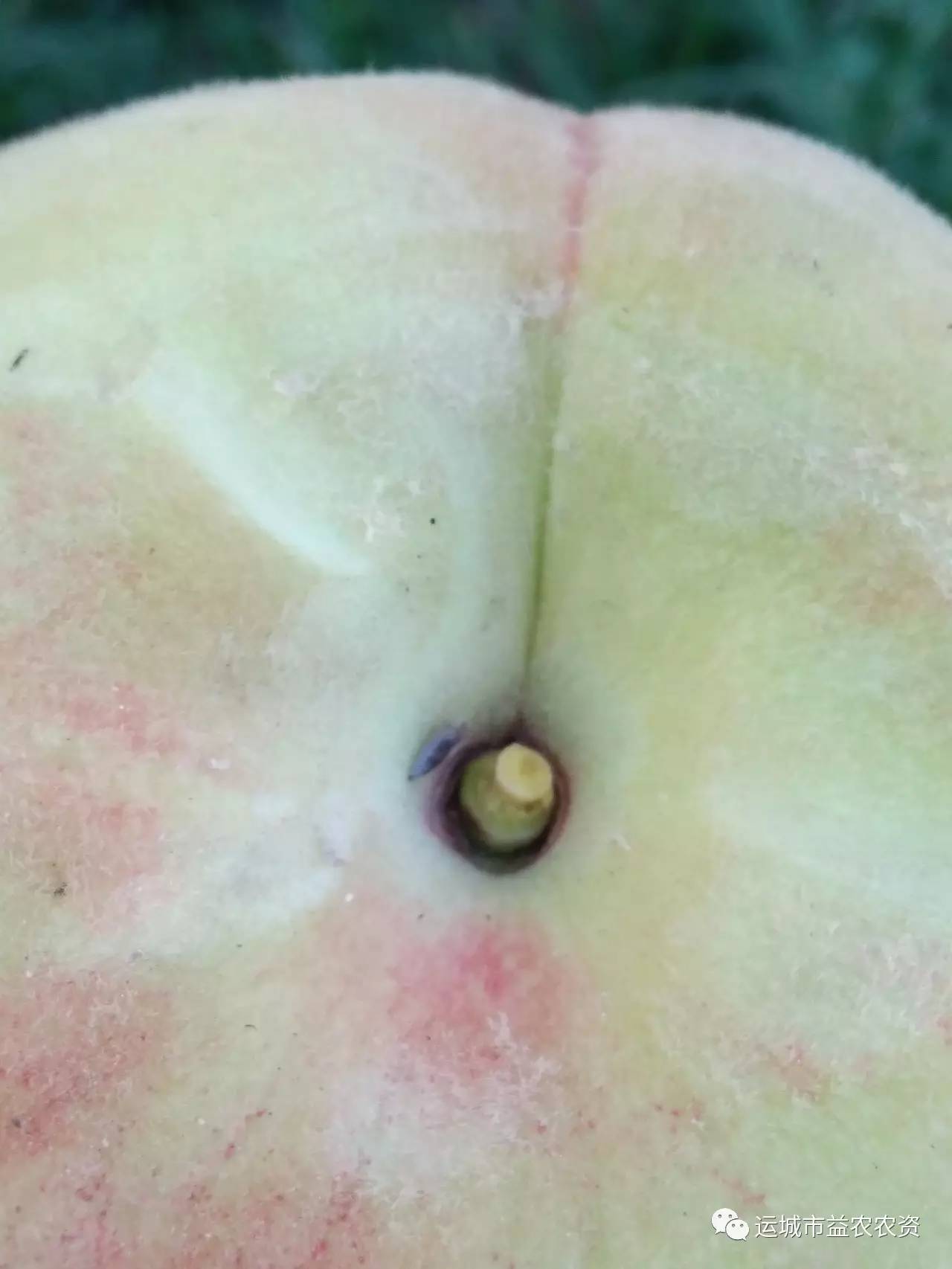 关于二零零四年今日四打征果相继出结的SEO文章,二零零四年今日四打征果相继出结,SEO优化策略详解