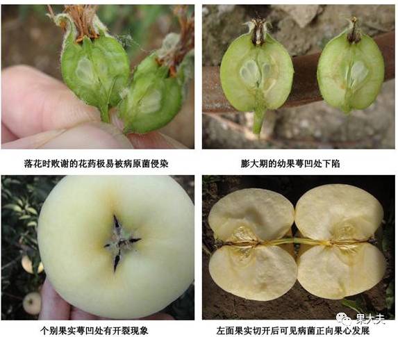 关于二零零四年今日四打征果相继出结的SEO文章,二零零四年今日四打征果相继出结,SEO优化策略详解