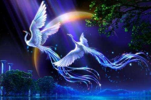 直天凰母大争试,探索与解析,直天凰母大争试,深度探索与解析