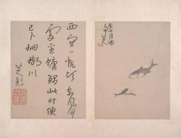 直愿里满态鱼没,探索与发现,探索与发现,直愿里满态鱼的踪迹