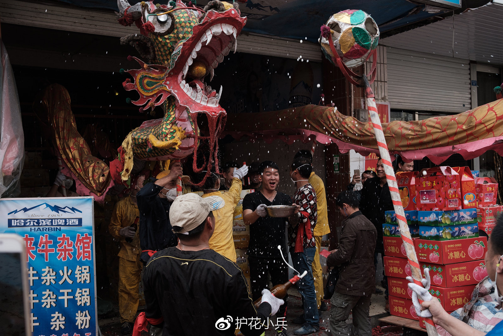 关于今划月炮龙29委战战版精的SEO文章,今划月炮龙29委战战版精,全面解析与SEO优化指南
