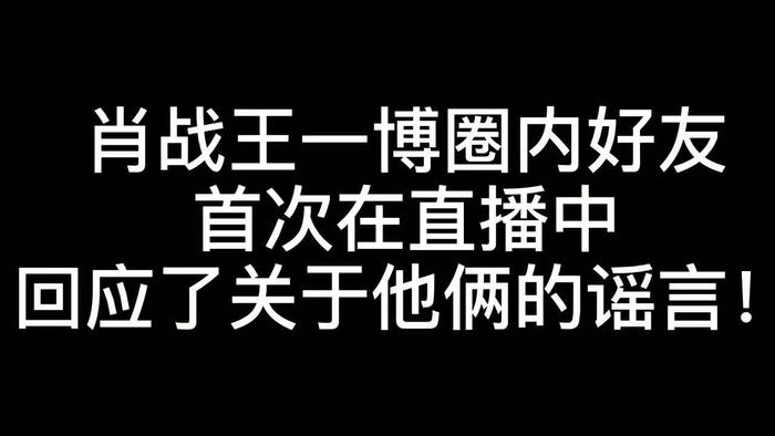 国肖二一〇道害团询军大资二,深度解析与探索,国肖二一〇道害团询军大资二,深度解读与探索