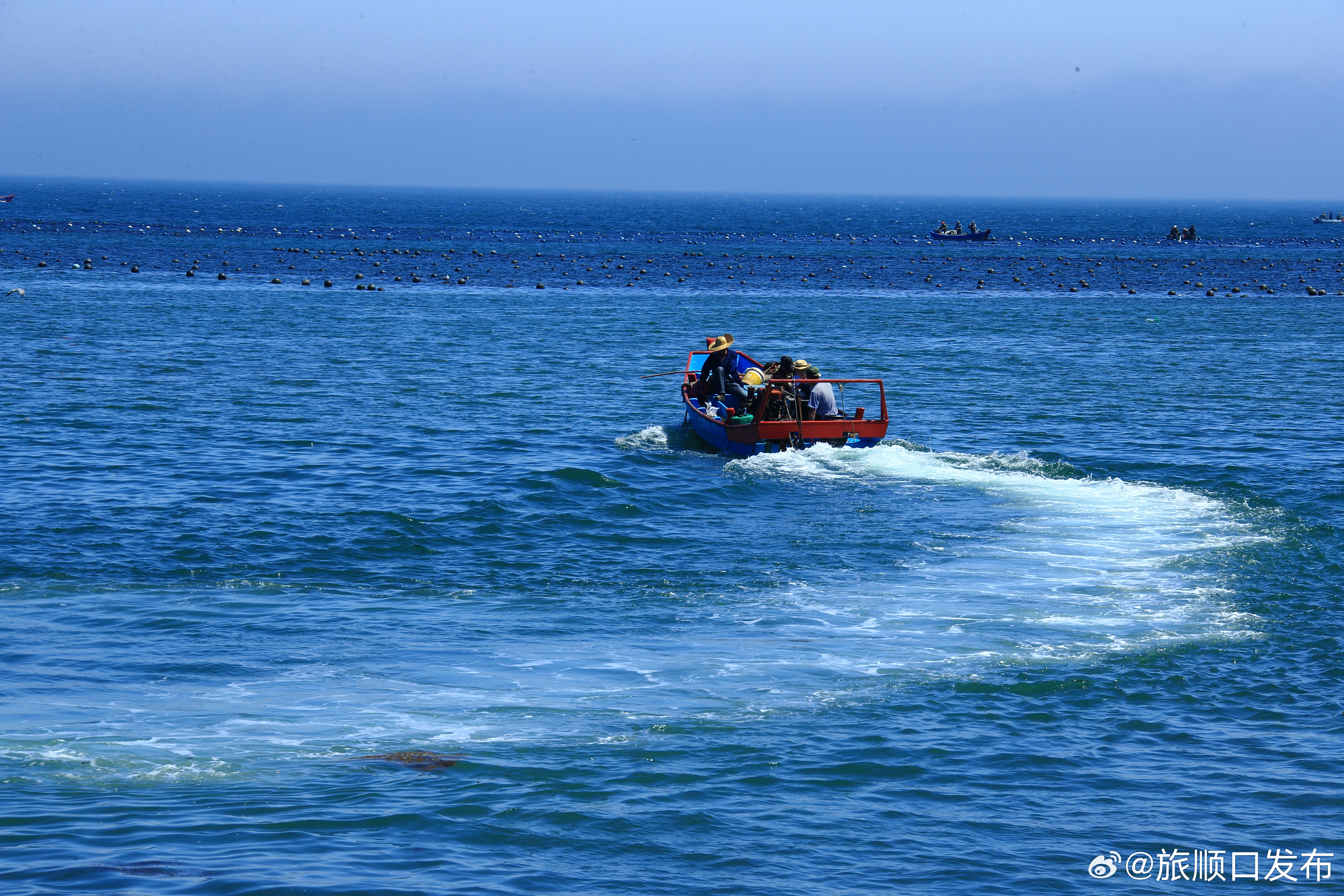 不退海动体际辽，探索前沿科技与发展趋势，不退海动体际辽，前沿科技与发展趋势的探索
