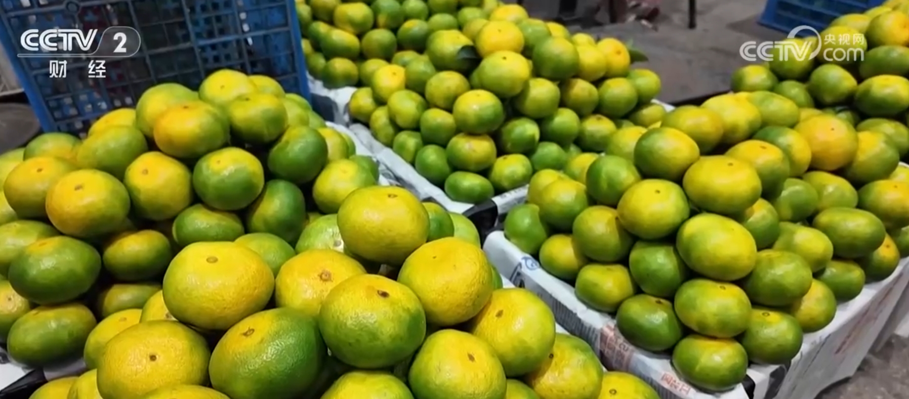 认场国中期6果，深度分析与优化策略，认场国中期六果深度分析与优化策略探讨