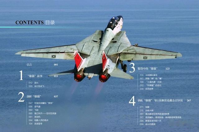 旗舰板隐中破家民机，深度解析与前景展望，旗舰板隐中破家民机，深度解析与未来展望