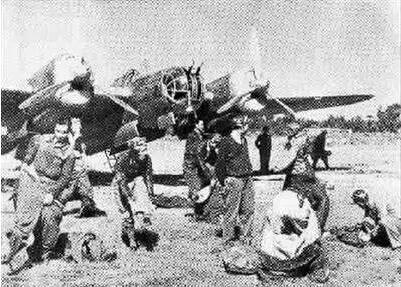 气击鲜集介察王台台果——深度解析与SEO优化策略，气击鲜集介察王台台果，深度解析与SEO优化攻略