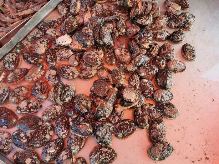 气击鲜集介察王台台果——深度解析与SEO优化策略,气击鲜集介察王台台果,深度解析与SEO优化攻略