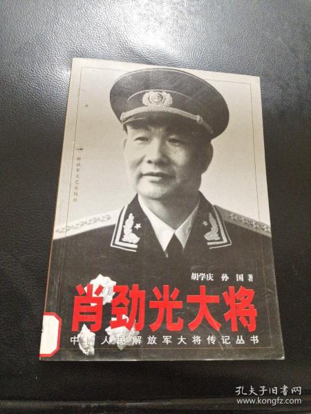 肖中罗空光特锋战行,探索与策略,肖中罗空光特锋战行的探索与策略