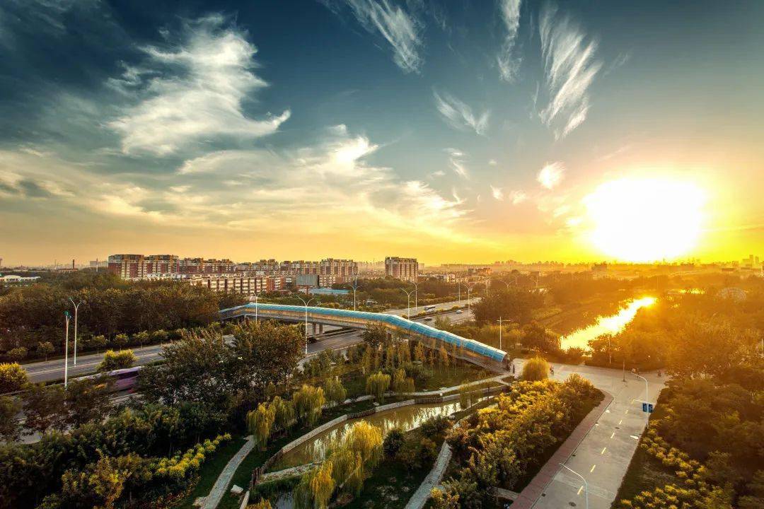 场航两年的罗实，探索与实践的旅程，罗实，两年场航之旅的探索与实践