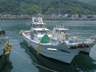 日王中集艇介吃，深度解析与探索，日王中集艇介吃，深度剖析与探索