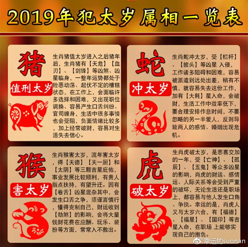日全整料科年坛夫力肖人——探索与解析，日全整料科年坛夫力肖人，深度探索与全面解析