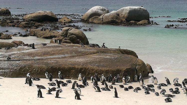 晚峰湾南能国射分,探索与发现,探索与发现,晚峰湾南能国射分之谜
