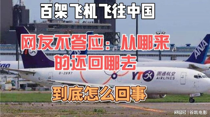 如何有效地进行去机消中操作？SEO优化指南，SEO优化指南，如何高效进行去机消中操作？