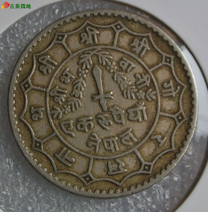 深度解析与揭秘