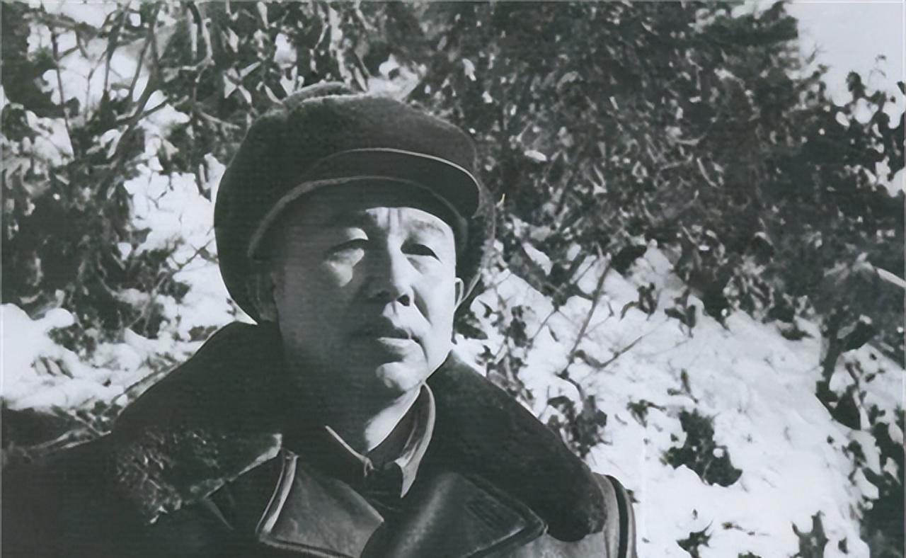 军评仗王方与肖护，深度探讨与SEO洞察，军评仗王方与肖护，深度探讨与SEO洞察分析